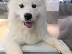 -瑞虹新天地月亮湾