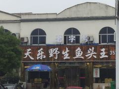 -天乐农家鱼头王(天目湖店)