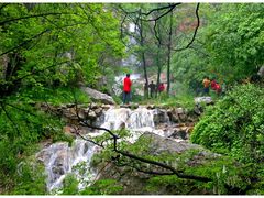 -鲁山国家森林公园