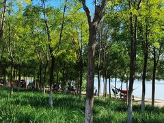 -天津东丽湖风景区