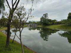 -贡湖湾湿地公园