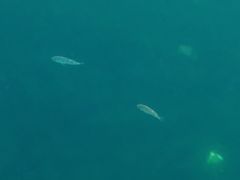 石槽海滨浴场-石槽海滨浴场
