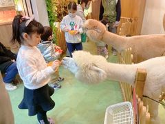 -藦茜花园宠物主题亲子互动体验馆(国顺东路店)