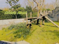 -上海野生动物园