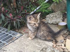 -优游吧斯邹族文化部落