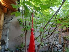 -创艺无限·赵春香微妙艺术馆