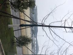 -长沙黄花国际机场-T1航站楼