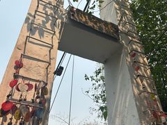 -西双版纳原始森林公园