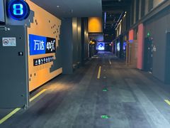 -万达影城(闵行颛桥万达广场杜比影院店)