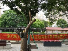 -三林塘老街