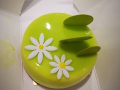 -罗森尼娜(解放西路店)
