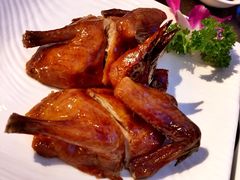 乳鸽-广州塔晖粤轩中餐厅