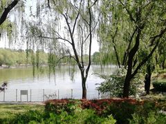 -朝阳公园游乐园