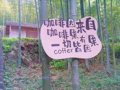 -山沟沟景区
