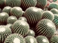 -华南国家植物园-售票处