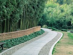 -杭州植物园