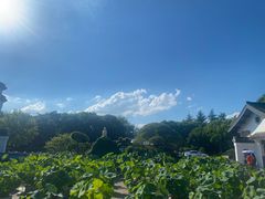 -无锡蠡湖国家湿地公园-蠡园