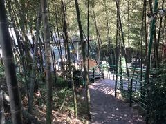 -大本营竹筒饭