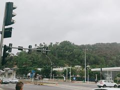 -中山大学附属第五医院