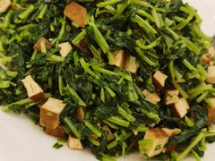 -九华山聚龙大酒店