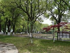 -尚湖风景区
