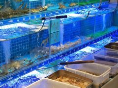 水产区-阿毛饭店(和义路店)