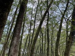 -西溪南古村落景区