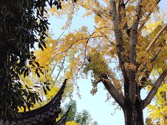 -龙潭水乡