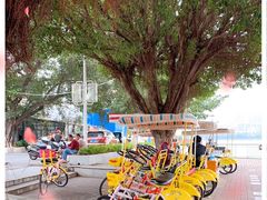 -星湖旅游景区七星岩