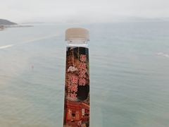 -鹿嘴山庄