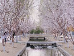 -三里河公园
