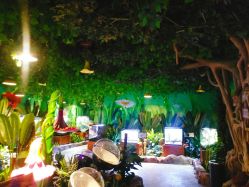 -酷嗒动物文化乐园(cutezoo西溪乐天城店)