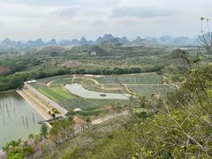 -南宁花花大世界景区