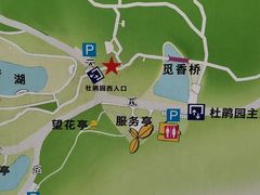 -铁山坪森林公园