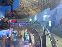 -烟台海昌鲸鲨海洋公园