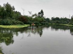 -桤木河湿地公园