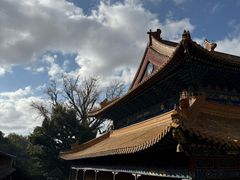 -普陀山风景名胜区-法雨禅寺