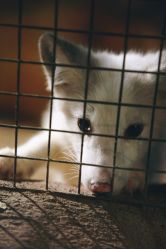 -酷嗒动物文化乐园(cutezoo西溪乐天城店)