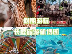 -长鹿旅游休博园