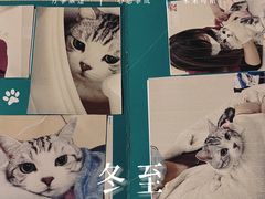 -美联众合爱康动物医院•复杂内科•肿瘤科•牙科•腔镜诊疗中心