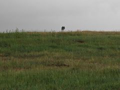 -敕勒川草原文化旅游区