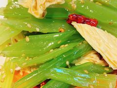 -韩师傅老大同刀削面(北苑路店)