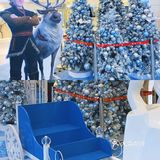 冰雪奇缘2❄️冰雪奇缘圣诞主题|广州展览