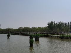 -西青郊野公园