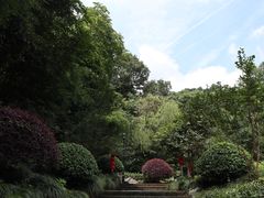 -杭州西湖风景名胜区-三生石