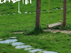 -达瓦更扎
