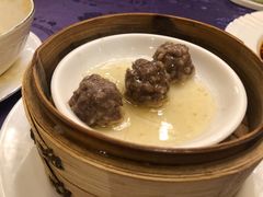 陈皮牛肉丸-惠食佳·朱雀(东方商厦店)