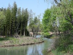 -梁鸿国家湿地公园