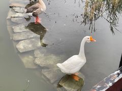 -古塔公园