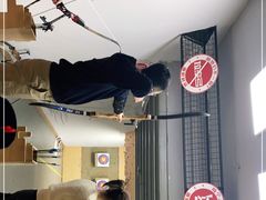 -道顺射箭·团建·骑射(张杨路店)